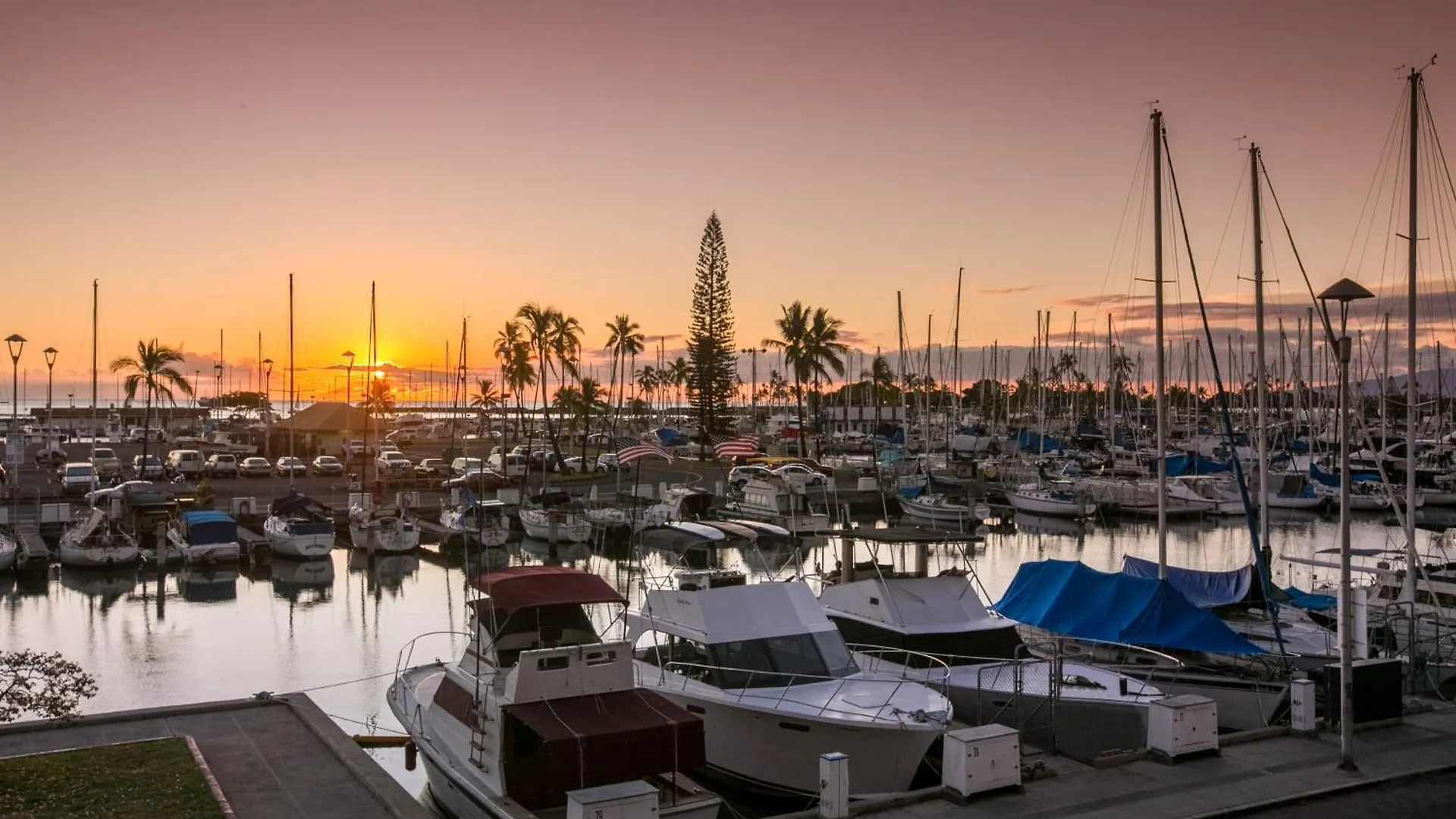 Apartment Honolulu Studio With Ocean View Parking Included!